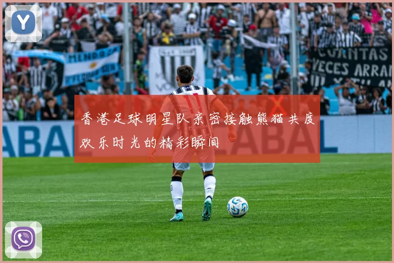 香港足球明星队亲密接触熊猫共度欢乐时光的精彩瞬间