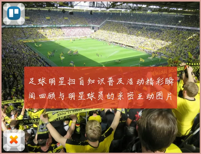 足球明星扫盲知识普及活动精彩瞬间回顾与明星球员的亲密互动图片分享