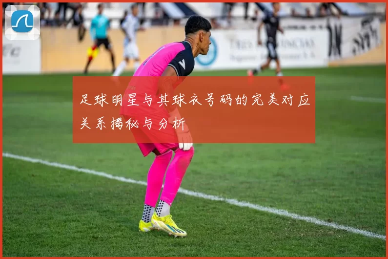 足球明星与其球衣号码的完美对应关系揭秘与分析