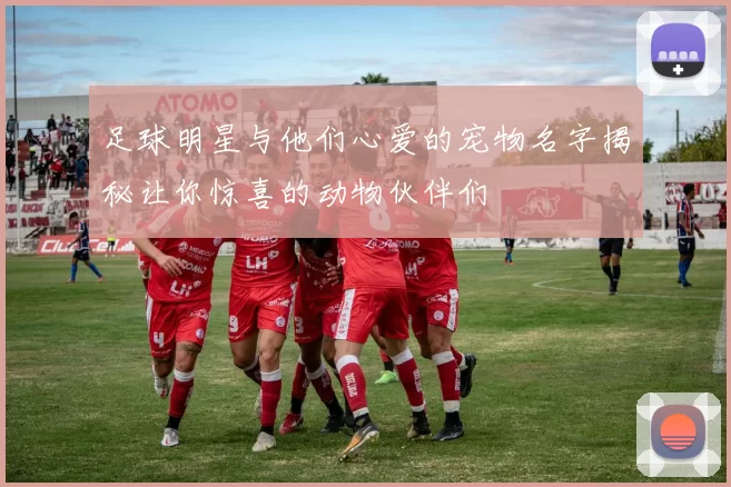 足球明星与他们心爱的宠物名字揭秘让你惊喜的动物伙伴们