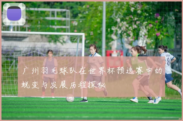 广州羽毛球队在世界杯预选赛中的蜕变与发展历程探秘