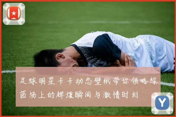 足球明星卡卡动态壁纸带你领略绿茵场上的辉煌瞬间与激情时刻