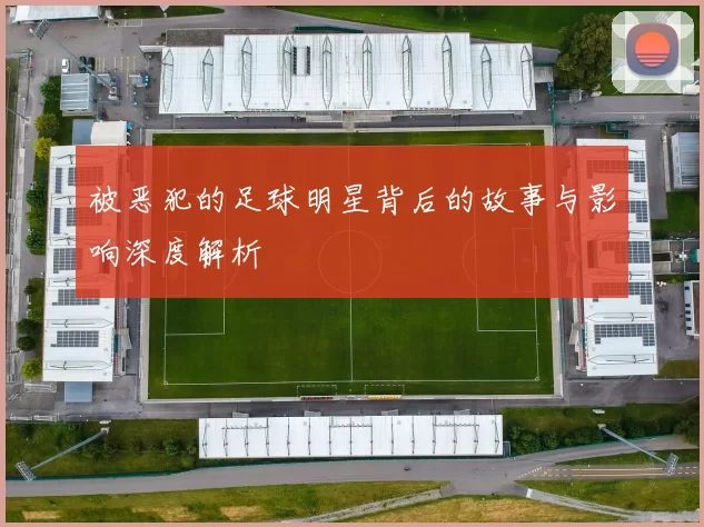 被恶犯的足球明星背后的故事与影响深度解析