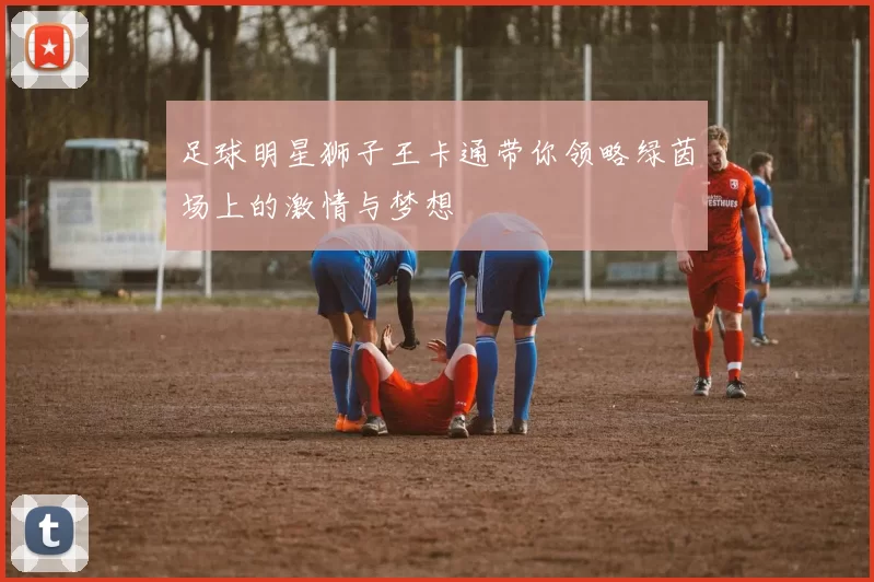 足球明星狮子王卡通带你领略绿茵场上的激情与梦想