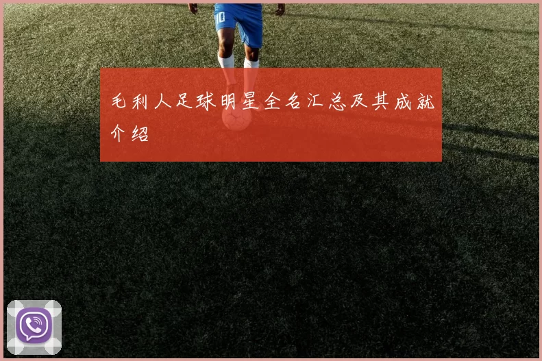 毛利人足球明星全名汇总及其成就介绍