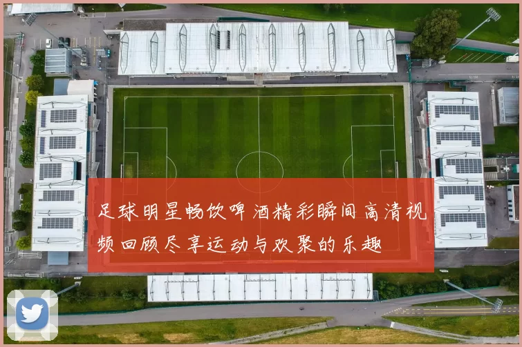 足球明星畅饮啤酒精彩瞬间高清视频回顾尽享运动与欢聚的乐趣