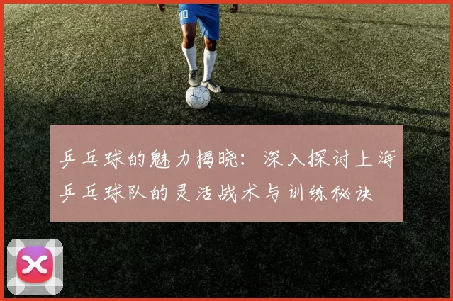 乒乓球的魅力揭晓：深入探讨上海乒乓球队的灵活战术与训练秘诀