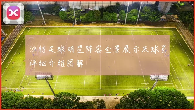 沙特足球明星阵容全景展示及球员详细介绍图解