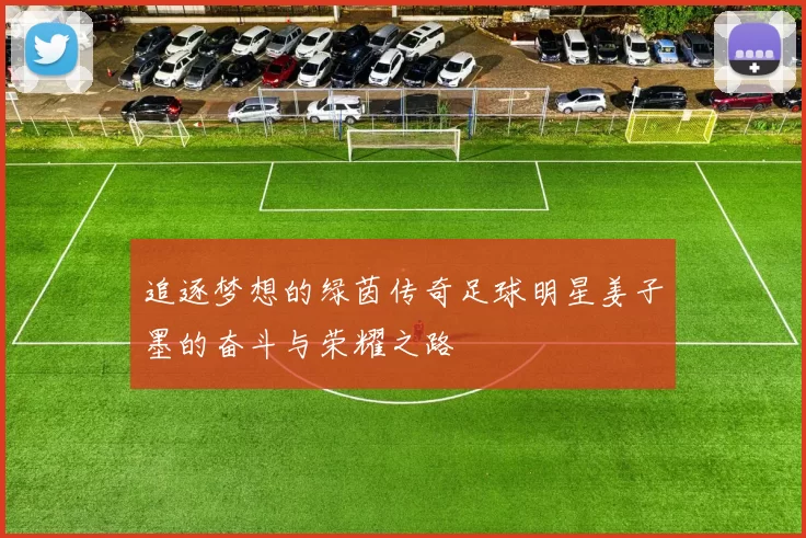 追逐梦想的绿茵传奇足球明星姜子墨的奋斗与荣耀之路